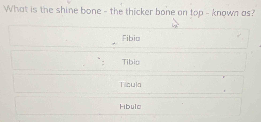 What is the shine bone - the thicker bone on top - known as?
Fibia
Tibia
Tibula
Fibula