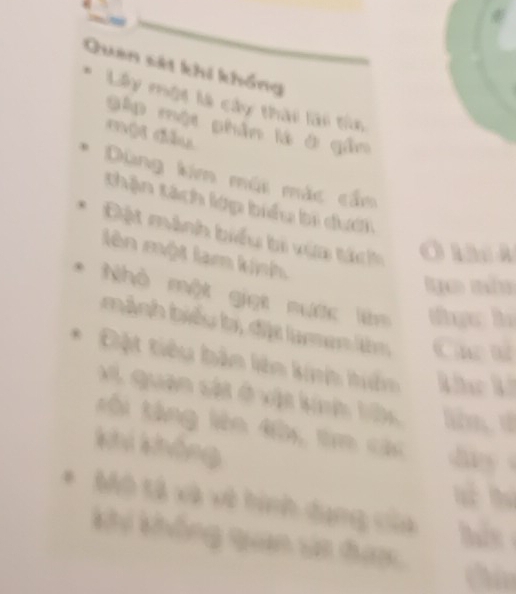 Quên sát khi khổng 
* Lây một là cây thai lài tìn 
gập một phân là ở gần 
mội đầu 
Dùng kim mũi mác cầm 
thận tách lớp biểu bi dướn 
Đặt mảnh biểu bi via tích 
lên một làm kinh 

Nhỏ một giọt nước l 
bành biểu b, đị lamen ln 
Đột tiêu bản lên knh hên 
vt quan sát ở vật kính lêc 
tài táng lên đà t các 
khi không 
Mô tà và và tính dụng của a 
Ki không qan và hau