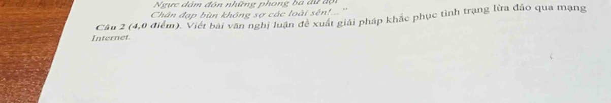 Ngực dám đón những phong ba dự đội 
Chân đạp bùn không sợ các loài sên!.. '' 
Cầu 2 (4,0 điểm). Viết bài văn nghị luận đề xuất giải pháp khắc phục tình trạng lừa đảo qua mạng 
Internet.