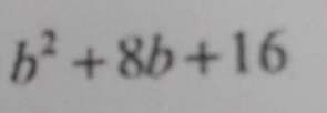 b^2+8b+16