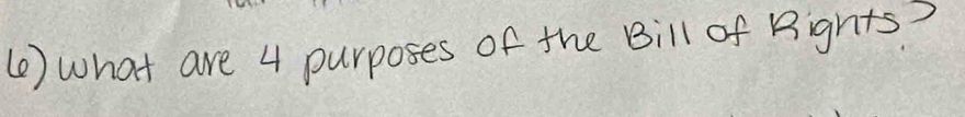 ( ) what are 4 purposes of the Bill of Bights?