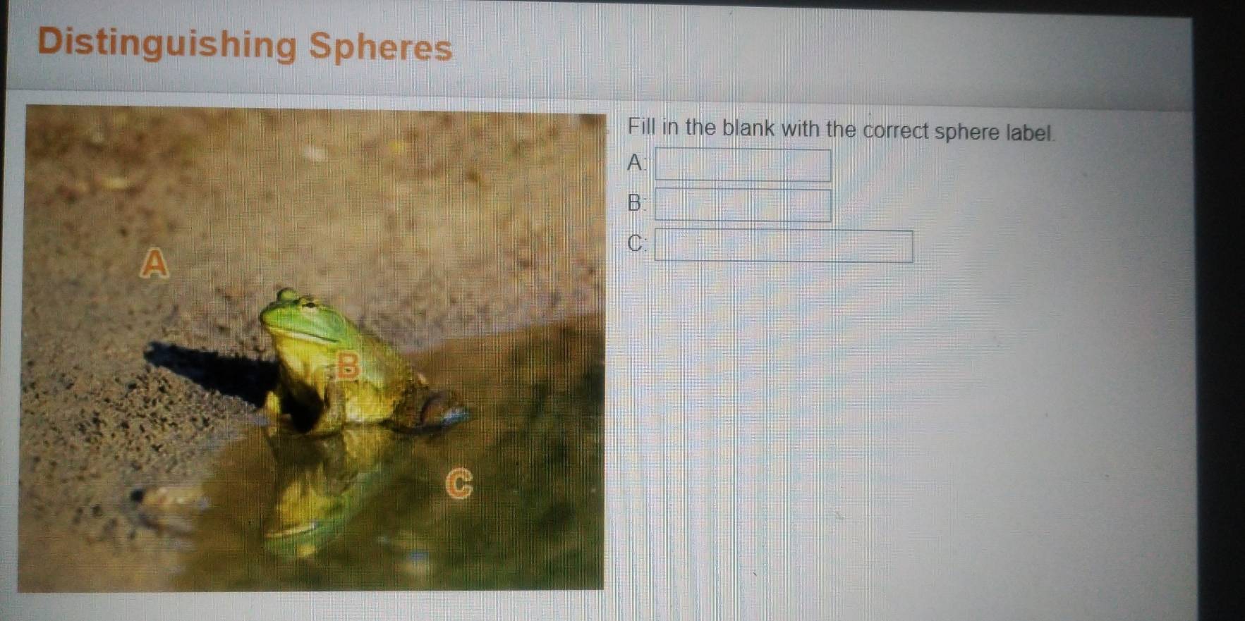 Solved: Distinguishing Spheres n the blank with the correct sphere ...