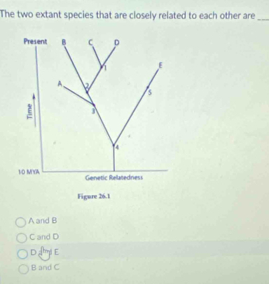 The two extant species that are closely related to each other are_
Present B C D
1 E
A. 2 5
E 3
4
10 MYA Genetic Relatedness
Figure 26.1
A and B
C and D
DamE
B and C