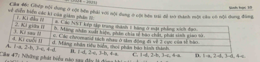 (2024 - 2025)
Sinh học 10
Câu 46: Ghép nội dung ở cột bên phải với n
về diễn biến các k
C. 1 -d, 2 -b, 3 -c, 4 -a. D. 1 -a, 2 -d, 3 -d, 4-c.
Câu 47: Những phát biểu nào say đây là đúng1