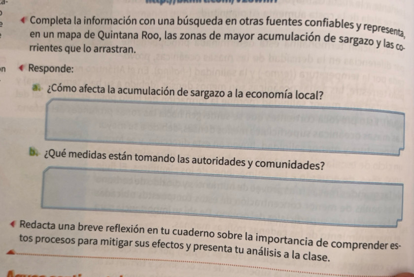 Completa la información con una búsqueda en otras fuentes confiables y representa, 
en un mapa de Quintana Roo, las zonas de mayor acumulación de sargazo y las co 
rrientes que lo arrastran. 
n Responde: 
a ¿Cómo afecta la acumulación de sargazo a la economía local? 
b. ¿Qué medidas están tomando las autoridades y comunidades? 
Redacta una breve reflexión en tu cuaderno sobre la importancia de comprender es- 
tos procesos para mitigar sus efectos y presenta tu análisis a la clase.