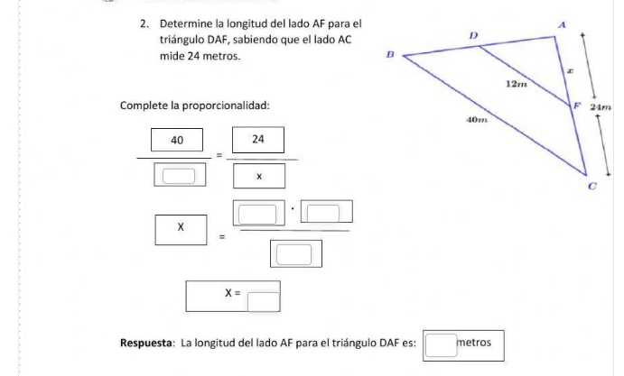 Determine la longitud del lado AF para el 
triángulo DAF, sabiendo que el lado AC
mide 24 metros. 
Complete la proporcionalidad:
 40/□  = 24/□  
x= □ · □ /□  
x=□
Respuesta: La longitud del lado AF para el triángulo DAF es: □ metra □