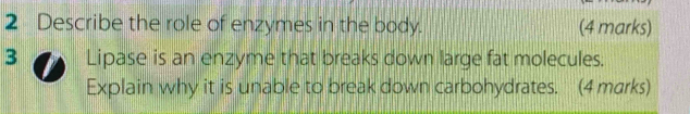 Describe the role of enzymes in the body. (4 marks) 
3 Lipase is an enzyme that breaks down large fat molecules. 
Explain why it is unable to break down carbohydrates. (4 marks)