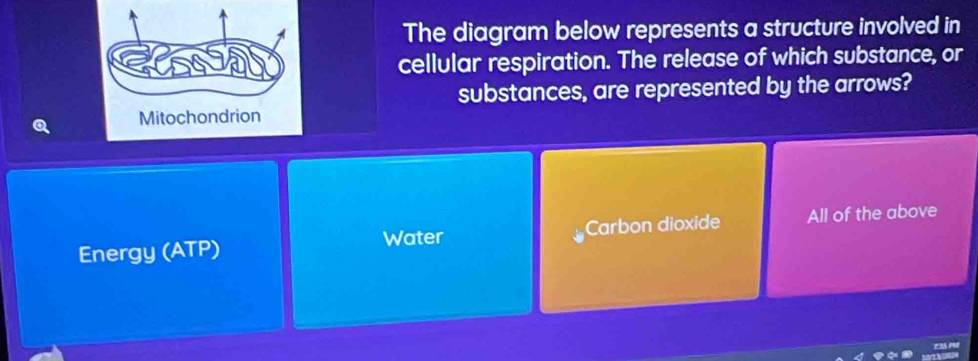 The diagram below represents a structure involved in
cellular respiration. The release of which substance, or
substances, are represented by the arrows?
Energy (ATP) Water Carbon dioxide All of the above