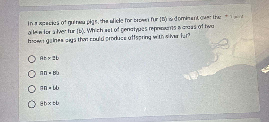 In a species of guinea pigs, the allele for brown fur (B) is dominant over the * 1 point
allele for silver fur (b). Which set of genotypes represents a cross of two
brown guinea pigs that could produce offspring with silver fur?
Bb* Bb
BB* Bb
BB* bb
Bb* bb