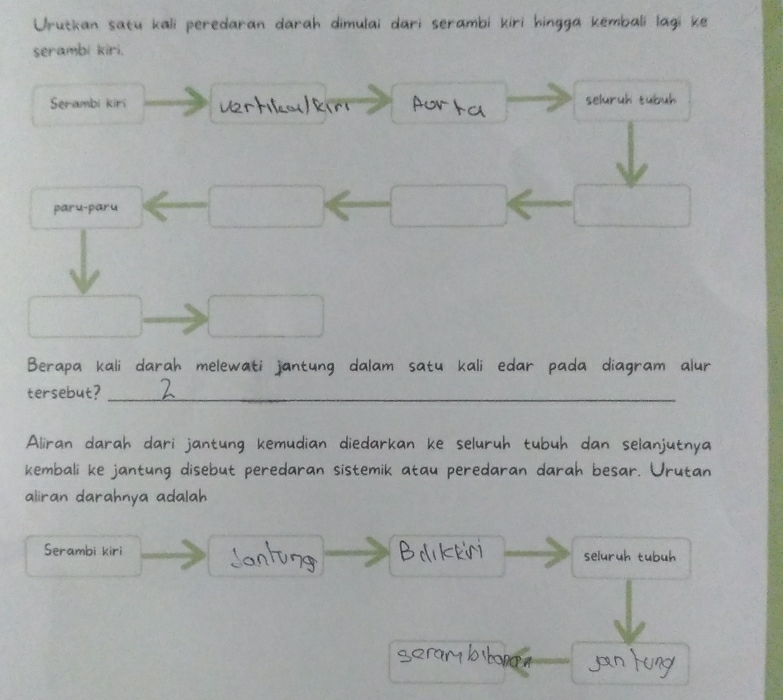 Urutkan satu kali peredar a k émbal i l a g i k e 
serambi 
Serambi kir seluruh tubuh 
Auv 
paru-paru 
Berapa kali darah melewati jantung dalam satu kali edar pada diagram alur 
tersebut?_ 
Aliran darah dari jantung kemudian diedarkan ke sel ubuh dan selan ju 
kembali ke jantung disebut peredaran sistemik atau pe 
aliran darahnya adalah 
Serambi kiri seluruh tubul