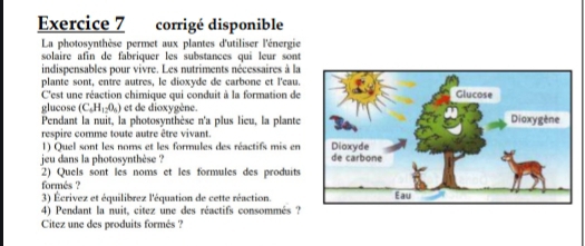 corrigé disponible 
La photosynthèse permet aux plantes d'utiliser l'énergie 
solaire afin de fabriquer les substances qui leur sont 
indispensables pour vivre. Les nutriments nécessaires à la 
plante sont, entre autres, le dioxyde de carbone et l'eau. 
C'est une réaction chimique qui conduit à la formation de 
glucose (C_4H_12O_5) et de dioxygène. 
Pendant la nuit, la photosynthèse n'a plus lieu, la plante 
respire comme toute autre être vivant. 
1) Quel sont les noms et les formules des réactifs mis en 
jeu dans la photosynthèse ? 
2) Quels sont les noms et les formules des produits 
formés ? 
3) Écrivez et équilibrez l'équation de cette réaction. 
4) Pendant la nuit, citez une des réactifs consommés ? 
Citez une des produits formés ?