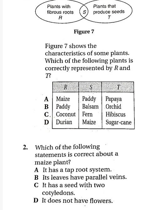 Figure 7 shows the
characteristics of some plants.
Which of the following plants is
correctly represented by R and
T?
2. Which of the following
statements is correct about a
maize plant?
A It has a tap root system.
B Its leaves have parallel veins.
C It has a seed with two
cotyledons.
D It does not have flowers.