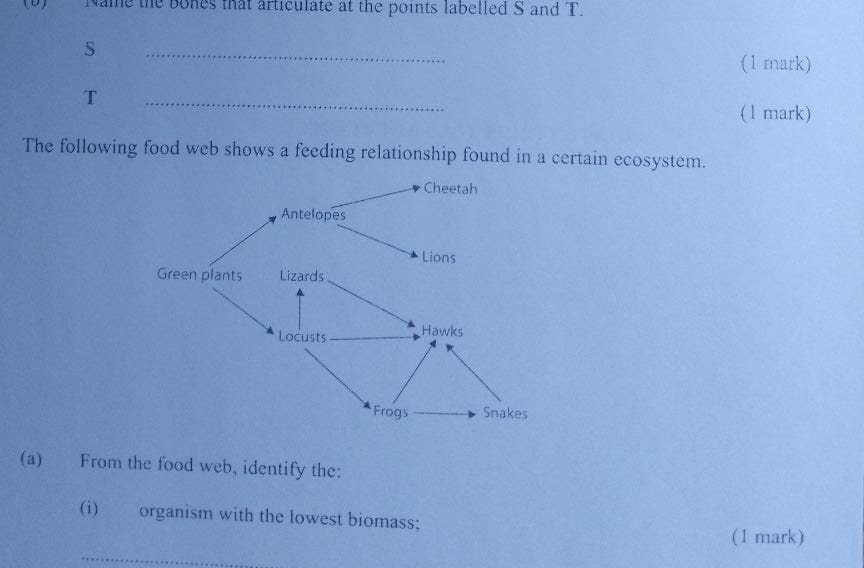 Name the bones that articulate at the points labelled S and T. 
S 
_ 
(1 mark) 
T 
_ 
(1 mark) 
The following food web shows a feeding relationship found in a certain ecosystem. 
(a) From the food web, identify the: 
(i) organism with the lowest biomass; 
(1 mark) 
_