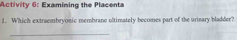 Activity 6: Examining the Placenta 
1. Which extraembryonic membrane ultimately becomes part of the urinary bladder? 
_