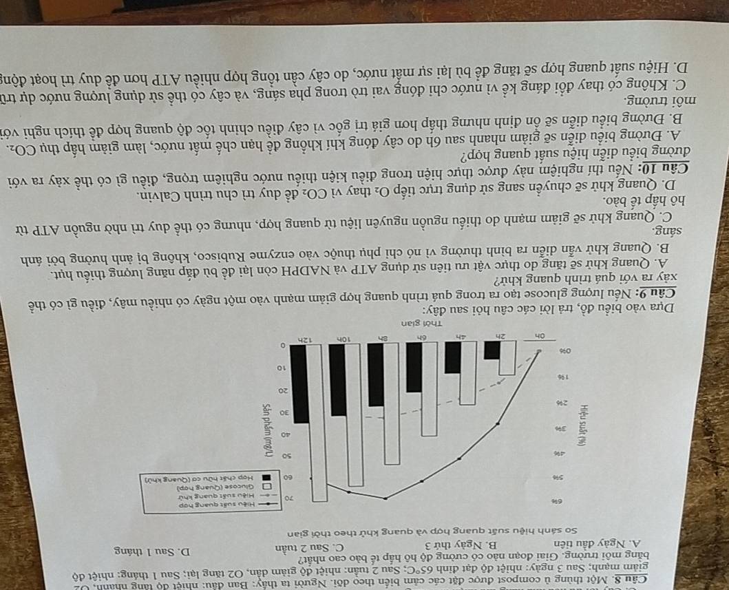 Một thùng ủ compost được đặt các cảm biến theo dõi. Người ta thầy: Ban đầu: nhiệt độ lăng nhanh, U2
giảm mạnh; Sau 3 ngày: nhiệt độ đạt đinh 65°C; Sau 2 tuần: nhiệt độ giảm dần, O2 tăng lại; Sau 1 tháng: nhiệt độ
bằng môi trường. Giai đoạn nào có cường độ hô hắp tế bào cao nhất? D. Sau 1 tháng
A. Ngày đầu tiên B. Ngày thứ 3 C. Sau 2 tuần
So sánh hiệu suất quang hợp và quang khử theo thời gian
Dựa vào biểu đồ, trả lời các câu hỏi sau đây:
Câu 9: Nếu lượng glucose tạo ra trong quá trình quang hợp giảm mạnh vào một ngày có nhiều mây, điều gì có thể
xảy ra với quá trình quang khử?
A. Quang khử sẽ tăng do thực vật ưu tiên sử dụng ATP và NADPH còn lại để bù đắp năng lượng thiếu hụt.
B. Quang khử vẫn diễn ra bình thường vì nó chỉ phụ thuộc vào enzyme Rubisco, không bị ảnh hưởng bởi ánh
sáng.
C. Quang khử sẽ giảm mạnh do thiếu nguồn nguyên liệu từ quang hợp, nhưng có thể duy trì nhờ nguồn ATP từ
hô hấp tế bào.
D. Quang khử sẽ chuyển sang sử dụng trực tiếp O_2 thay vì CO_2 đềể duy trì chu trình Calvin.
Câu 10: Nếu thí nghiệm này được thực hiện trong điều kiện thiếu nước nghiêm trọng, điều gì có thể xảy ra với
đường biểu diễn hiệu suất quang hợp?
A. Đường biểu diễn sẽ giảm nhanh sau 6h do cây đóng khí khổng để hạn chế mất nước, làm giảm hấp thụ CO_2.
B. Đường biểu diễn sẽ ổn định nhưng thấp hơn giá trị gốc vì cây điều chinh tốc độ quang hợp đề thích nghi với
môi trường.
C. Không có thay đổi đáng kể vì nước chi đóng vai trò trong pha sáng, và cây có thể sử dụng lượng nước dự trữ
D. Hiệu suất quang hợp sẽ tăng để bù lại sự mắt nước, do cây cần tổng hợp nhiều ATP hơn để duy trì hoạt động
