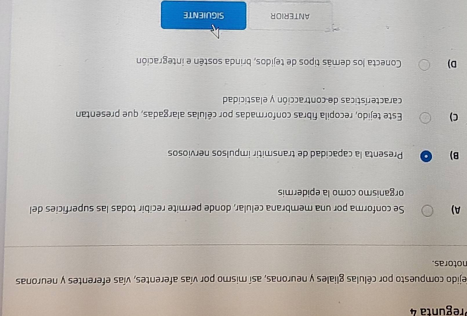 Pregunta 4
dejido compuesto por células gliales y neuronas, así mismo por vías aferentes, vías eferentes y neuronas
notoras.
A) Se conforma por una membrana celular, donde permite recibir todas las superficies del
organismo como la epidermís
B) Presenta la capacidad de transmitir impulsos nerviosos
C) Este tejido, recopila fibras conformadas por células alargadas, que presentan
características de contracción y elasticidad
D) Conecta los demás tipos de tejidos, brinda sostén e integración
ANTERIOR SIGUIENTE