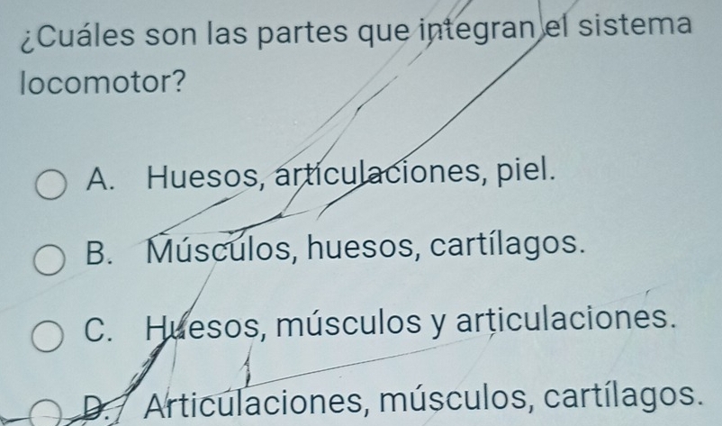 ¿Cuáles son las partes que integran el sistema
locomotor?
A. Huesos, articulaciones, piel.
B. Músculos, huesos, cartílagos.
C. Huesos, músculos y articulaciones.
D Articulaciones, músculos, cartílagos.