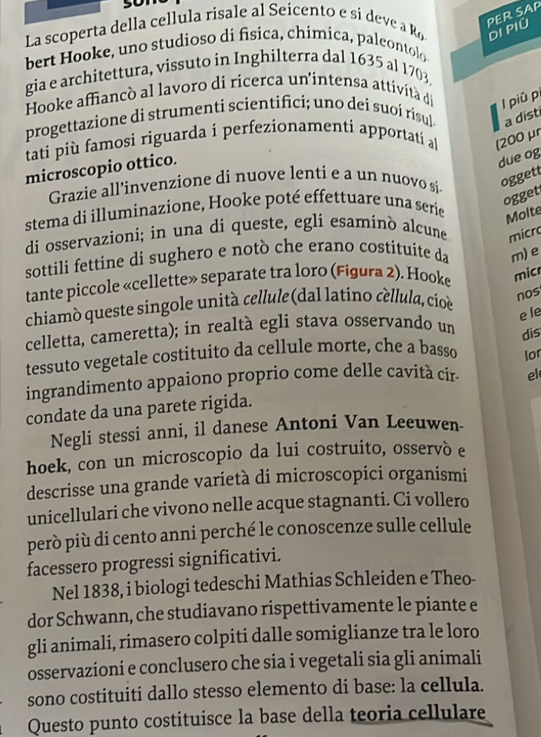 PER SAP
La scoperta della cellula risale al Seicento e si deve a Ro DI PIÜ
bert Hooke, uno studioso di fisica, chimica, paleontolo
gia e architettura, vissuto in Inghilterra dal 1635 al 1703.
Hooke affiancò al lavoro di ricerca un'intensa attività di l piū pí
progettazione di strumenti scientifici; uno dei suoí risul a dist
tati più famosi riguarda i perfezionamenti apportati a (200 μ
microscopio ottico.
due og
Grazie all’invenzione di nuove lenti e a un nuovo si oggett
stema di illuminazione, Hooke poté effettuare una serie
ogget
Molte
di osservazioni; in una di queste, egli esaminò alcune micro
sottili fettine di sughero e notò che erano costituíte da m)e
tante piccole «cellette» separate tra loro (Figura 2). Hooke mic
chiamò queste singole unità cellule (dal latino céllula, cioè
nos
e le
celletta, cameretta); in realtà egli stava osservando un
dis
tessuto vegetale costituito da cellule morte, che a basso lor
ingrandimento appaiono proprio come delle cavità cir- el
condate da una parete rigida.
Negli stessi anni, il danese Antoni Van Leeuwen-
hoek, con un microscopio da lui costruito, osservó e
descrisse una grande varietà di microscopici organismi
unicellulari che vivono nelle acque stagnanti. Ci vollero
però più di cento anni perché le conoscenze sulle cellule
facessero progressi significativi.
Nel 1838, i biologi tedeschi Mathias Schleiden e Theo-
dor Schwann, che studiavano rispettivamente le piante e
gli animali, rimasero colpiti dalle somiglianze tra le loro
osservazioni e conclusero che sia i vegetali sia gli animali
sono costituiti dallo stesso elemento di base: la cellula.
Questo punto costituisce la base della teoria cellulare