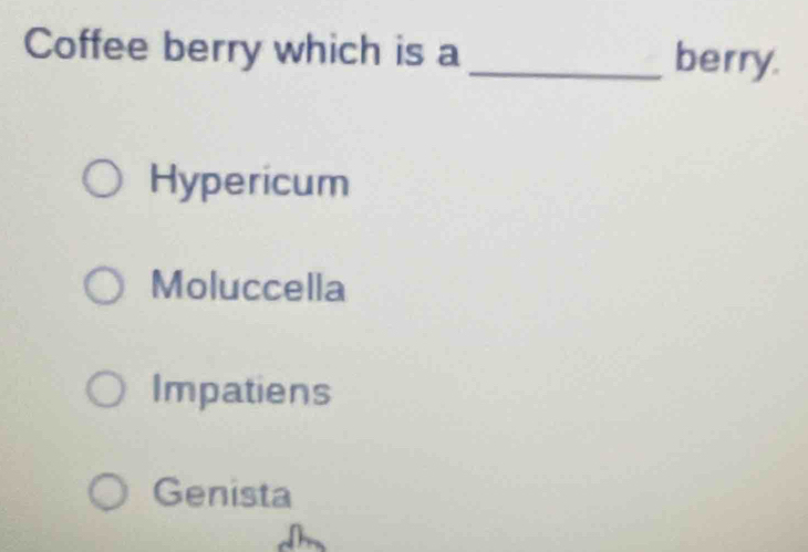 Coffee berry which is a _berry.
Hypericum
Moluccella
Impatiens
Genista