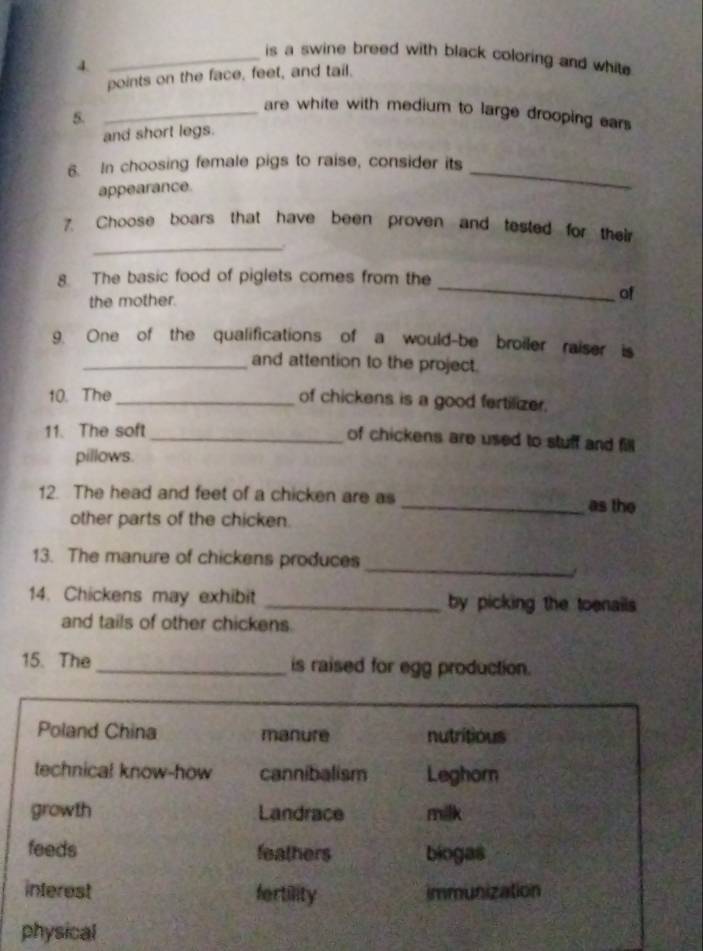 is a swine breed with black coloring and white 
4.
points on the face, feet, and tail.
are white with medium to large drooping ears
5._
and short legs.
_
6. In choosing female pigs to raise, consider its
appearance.
_
7. Choose boars that have been proven and tested for their
_
8. The basic food of piglets comes from the
the mother. of
9. One of the qualifications of a would-be broiler raiser is
_and attention to the project.
10. The _of chickens is a good fertilizer.
11. The soft _of chickens are used to stuff and f
pillows.
12. The head and feet of a chicken are as
_as the
other parts of the chicken.
13. The manure of chickens produces
_
14. Chickens may exhibit _by picking the toenails 
and tails of other chickens.
15. The _is raised for egg production.
Poland China manure nutritious
technical know-how cannibalism Leghorn
growth Landrace milk
feeds feathers biogas
interest fortility immunization
physical