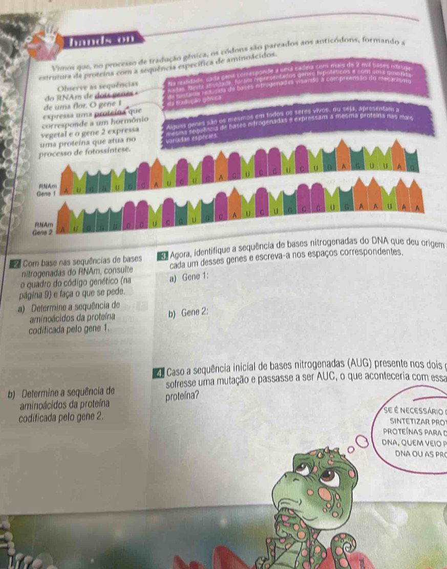 Vimos que, no processo de tradução gênica, os códons são pareados aos anticódons, formando a 
estrutura da proteios com a sequência específica de aminoácidos. 
Observe as sequências s gena corrasponde a uma sádeía com mais de 2 mil basas nitrode 
um representafos qunas hipoláticos a cont uma quantida 
do RAm de do is gen e s mpugenad as visando a compreensão do mecanism 
de uma flor. O gene 1 
expressa uma proteína que 
vegetal e o gene 2 expressa Alguas denes são os mesmos em todos os seres vivos, ou seja, apresentam a 
corresponde a um hormônio 
esma sequência de bases mtrogenadas e expressam a mesma profeina nas mais 
uma proteína que atua no 
processo de fotossíntese. variadas espécies 
NAm 
Gene 1 
A 
RNAm 
Gene 2 
Agora, identifique a sequência de bases nitrogenadas do DNA que deu origem 
Lê Com base nas sequências de bases cada um desses genes e escreva-a nos espaços correspondentes. 
nitrogenadas do RNAm, consulte 
o quadro do código genético (na a) Gene 1: 
página 9) e faça o que se pede. 
a) Determine a sequência de 
aminoácidos da proteína b) Gene 2: 
codificada pelo gene 1. 
Z e Caso a sequência inicial de bases nitrogenadas (AUG) presente nos dois e 
b) Determine a sequência de sofresse uma mutação e passasse a ser AUC, o que aconteceria com essa 
aminoácidos da proteína 
codíficada pelo gene 2. 
Se é nECESSÁRiO I 
SINTETIZAR PRO 
Proteínas para D 
DNA, QUEM VEIO P 
DNA OU AS PRC