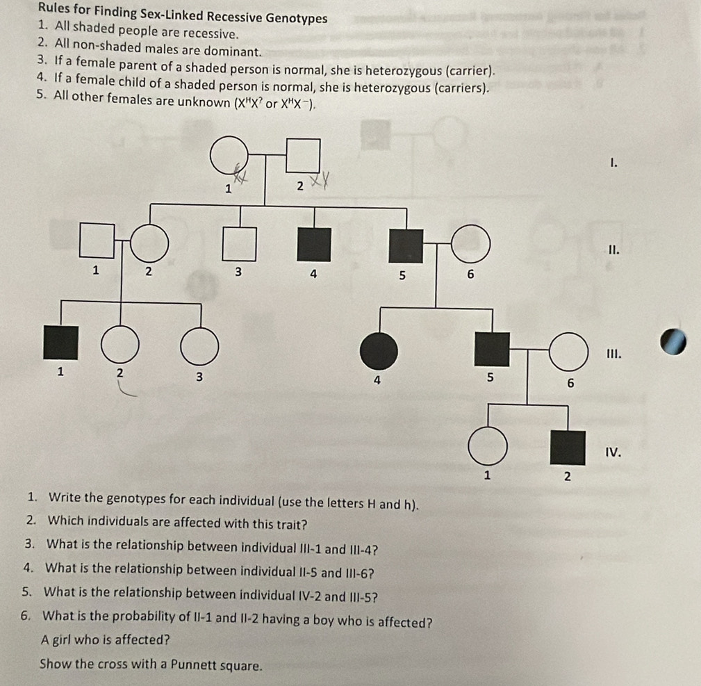 Rules for Finding Sex-Linked Recessive Genotypes 
1. All shaded people are recessive. 
2. All non-shaded males are dominant. 
3. If a female parent of a shaded person is normal, she is heterozygous (carrier). 
4. If a female child of a shaded person is normal, she is heterozygous (carriers). 
5. All other females are unknown (X^HX^? or X^HX^-). 
1. Write the genotypes for each individual (use the letters H and h). 
2. Which individuals are affected with this trait? 
3. What is the relationship between individual III -1 and III -4? 
4. What is the relationship between individual II-S and III -6? 
5. What is the relationship between individual IV -2 and III -5? 
6. What is the probability of II -1 and II -2 having a boy who is affected? 
A girl who is affected? 
Show the cross with a Punnett square.