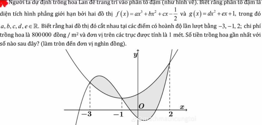 5Người ta dự định trồng hoa Lan để trang trí vào phần tồ đậm (như hình vẽ). Biết răng phần tồ đặm là 
diện tích hình phẳng giới hạn bởi hai đồ thị f(x)=ax^3+bx^2+cx- 1/2  và g(x)=dx^2+ex+1 , trong đó
a,b,c,d,e∈ R 1. Biết rằng hai đồ thị đó cắt nhau tại các điểm có hoành độ lần lượt bằng −3, − 1, 2; chi phí 
trồng hoa là 800 000 đồng m^2 và đơn vị trên các trục được tính là 1 mét. Số tiền trồng hoa gần nhất với 
số nào sau đây? (làm tròn đến đơn vị nghìn đồng).