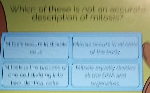 Mass equae ds és 
1 

. organetes