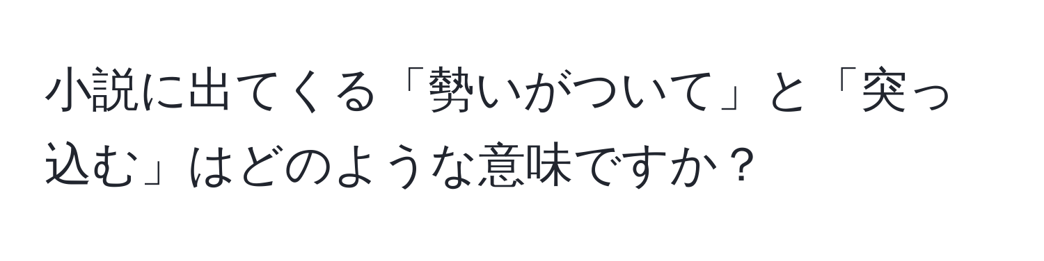 小説に出てくる「勢いがついて」と「突っ込む」はどのような意味ですか？