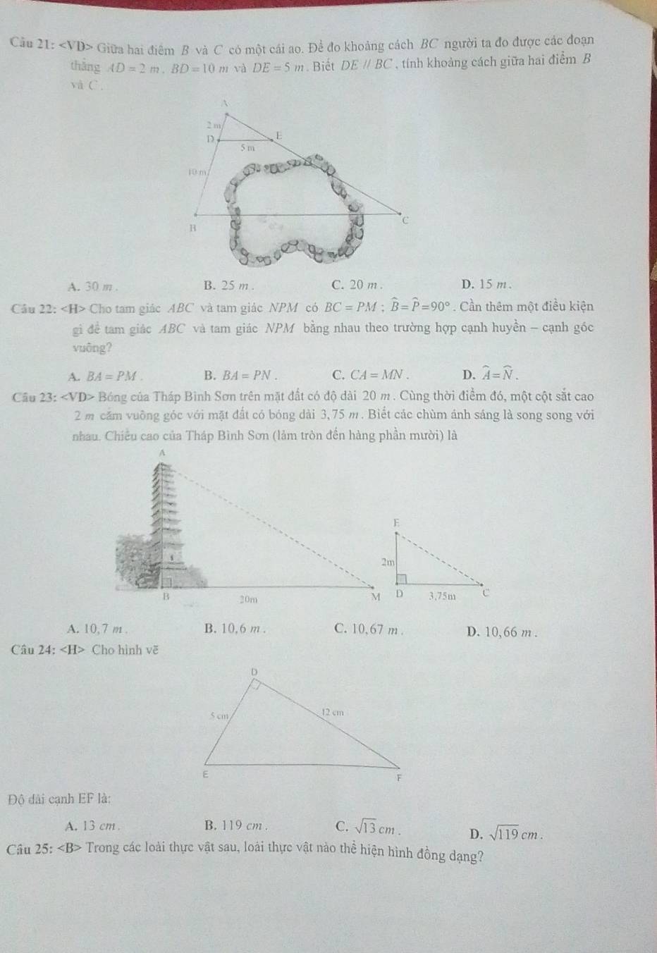 Cầu 21: Giữa hai điểm B và C có một cái ao. Để đo khoảng cách BC người ta đo được các đoạn
thắng AD=2m, BD=10m và DE=5m. Biết DEparallel BC , tính khoảng cách giữa hai điểm B
và C.
A. 30 m. B. 25 m. C. 20 m. D. 15 m.
Cầu 22: Cho tam giác ABC và tam giác NPM có BC=PM; widehat B=widehat P=90°. Cần thêm một điều kiện
gi để tam giác ABC và tam giác NPM bằng nhau theo trường hợp cạnh huyền - cạnh góc
vuông?
A. BA=PM. B. BA=PN. C. CA=MN. D. widehat A=widehat N. 
Cầu 23: Bóng của Tháp Bình Sơn trên mặt đất có độ dài 20 m. Cùng thời điểm đó, một cột sắt cao
2 m cầm vuỡng góc với mặt đất có bóng dài 3,75 m. Biết các chùm ánh sáng là song song với
nhau. Chiều cao của Tháp Bình Sơn (lảm tròn đến hàng phần mười) là
A. 10, 7 m. B. 10,6 m. C. 10,67 m. D. 10,66 m.
Câu 24: Cho hình vẽ
Độ dài cạnh EF là:
A. 13 cm. B. 119 cm. C. sqrt(13)cm. D. sqrt(119)cm. 
Câu 25:∠ B> Trong các loài thực vật sau, loài thực vật nào thể hiện hình đồng dạng?