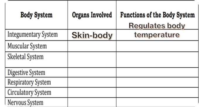 Nervous System