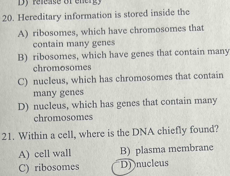 release of energy
20. Hereditary information is stored inside the
A) ribosomes, which have chromosomes that
contain many genes
B) ribosomes, which have genes that contain many
chromosomes
C) nucleus, which has chromosomes that contain
many genes
D) nucleus, which has genes that contain many
chromosomes
21. Within a cell, where is the DNA chiefly found?
A) cell wall B) plasma membrane
C) ribosomes D) nucleus