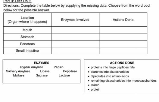 Let's Do II
Directions: Complete the table below by supplying the missing data. Choose from the word pool
below for the possible answer.
ENZYMES ACTIONS DONE
Trypsin Amylase Pepsin proteins into large peptides fats
Salivary Amylase Lipase Peptidase starches into disaccharides
Maltase Sucrase Lactase dipeptides into amino acids
remaining disaccharides into monosaccharides
starch
protein