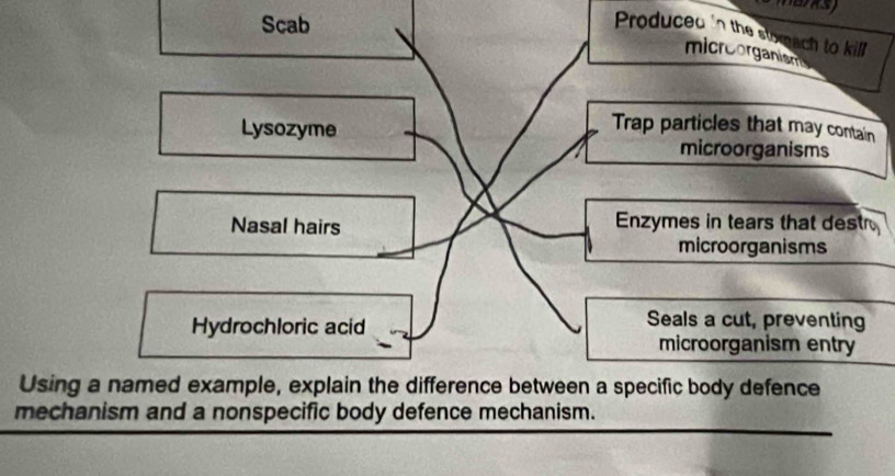 mans 
Scab 
Produced in the stomach to kill 
micreorganisms 
Trap particles that may contain 
Lysozyme microorganisms 
Nasal hairs Enzymes in tears that dest 
microorganisms 
Hydrochloric acid 
Seals a cut, preventing 
microorganism entry 
Using a named example, explain the difference between a specific body defence 
mechanism and a nonspecific body defence mechanism.