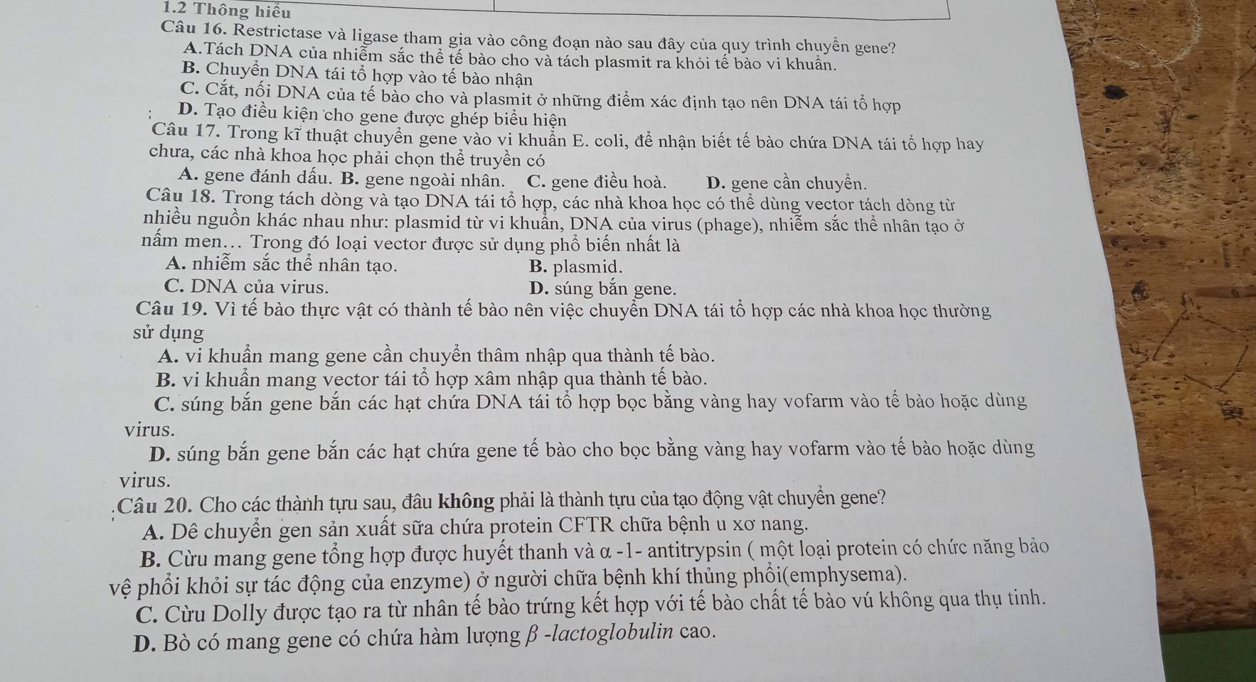 1.2 Thông hiểu
Câu 16. Restrictase và ligase tham gia vào công đoạn nào sau đây của quy trình chuyển gene?
A.Tách DNA của nhiễm sắc thể tế bào cho và tách plasmit ra khỏi tế bào vi khuân.
B. Chuyển DNA tái tổ hợp vào tế bào nhận
C. Cắt, nối DNA của tế bào cho và plasmit ở những điểm xác định tạo nên DNA tái tổ hợp
D. Tạo điều kiện cho gene được ghép biểu hiện
Câu 17. Trong kĩ thuật chuyển gene vào vi khuẩn E. coli, để nhận biết tế bào chứa DNA tái tổ hợp hay
chưa, các nhà khoa học phải chọn thể truyền có
A. gene đánh dấu. B. gene ngoài nhân. C. gene điều hoà. D. gene cần chuyển.
Câu 18. Trong tách dòng và tạo DNA tái tổ hợp, các nhà khoa học có thể dùng vector tách dòng từ
nhiều nguồn khác nhau như: plasmid từ vi khuẩn, DNA của virus (phage), nhiễm sắc thể nhân tạo ở
nấm men... Trong đó loại vector được sử dụng phổ biến nhất là
A. nhiễm sắc thể nhân tạo. B. plasmid.
C. DNA của virus. D. súng bắn gene.
Câu 19. Vì tế bào thực vật có thành tế bào nên việc chuyển DNA tái tổ hợp các nhà khoa học thường
sử dụng
A. vi khuẩn mang gene cần chuyển thâm nhập qua thành tế bào.
B. vi khuẩn mang vector tái tổ hợp xâm nhập qua thành tế bào.
C. súng bắn gene bắn các hạt chứa DNA tái tổ hợp bọc bằng vàng hay vofarm vào tế bào hoặc dùng
virus.
D. súng bắn gene bắn các hạt chứa gene tế bào cho bọc bằng vàng hay vofarm vào tế bào hoặc dùng
virus.
Câu 20. Cho các thành tựu sau, đâu không phải là thành tựu của tạo động vật chuyển gene?
A. Dê chuyển gen sản xuất sữa chứa protein CFTR chữa bệnh u xơ nang.
B. Cừu mang gene tổng hợp được huyết thanh và α -1- antitrypsin ( một loại protein có chức năng bảo
vệ phối khỏi sự tác động của enzyme) ở người chữa bệnh khí thủng phối(emphysema).
C. Cừu Dolly được tạo ra từ nhân tế bào trứng kết hợp với tế bào chất tế bào vú không qua thụ tinh.
D. Bò có mang gene có chứa hàm lượng β -lactoglobulin cao.