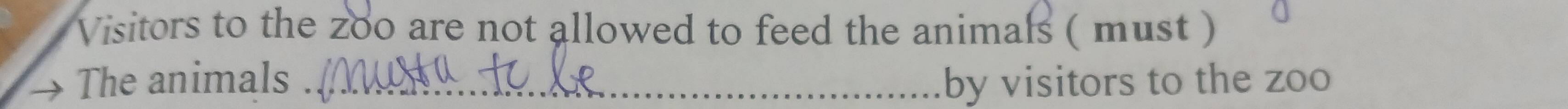 Visitors to the zoo are not allowed to feed the animals ( must ) 
The animals _by visitors to the zoo