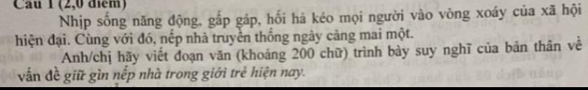 (2,0 điểm) 
Nhịp sống năng động, gắp gáp, hối há kéo mọi người vào vòng xoáy của xã hội 
hiện đại. Cùng với đó, nếp nhà truyền thống ngày cảng mai một. 
Anh/chị hãy viết đoạn văn (khoáng 200 chữ) trình bày suy nghĩ của bản thân về 
vấn đề giữ gìn nếp nhà trong giới trẻ hiện nay.