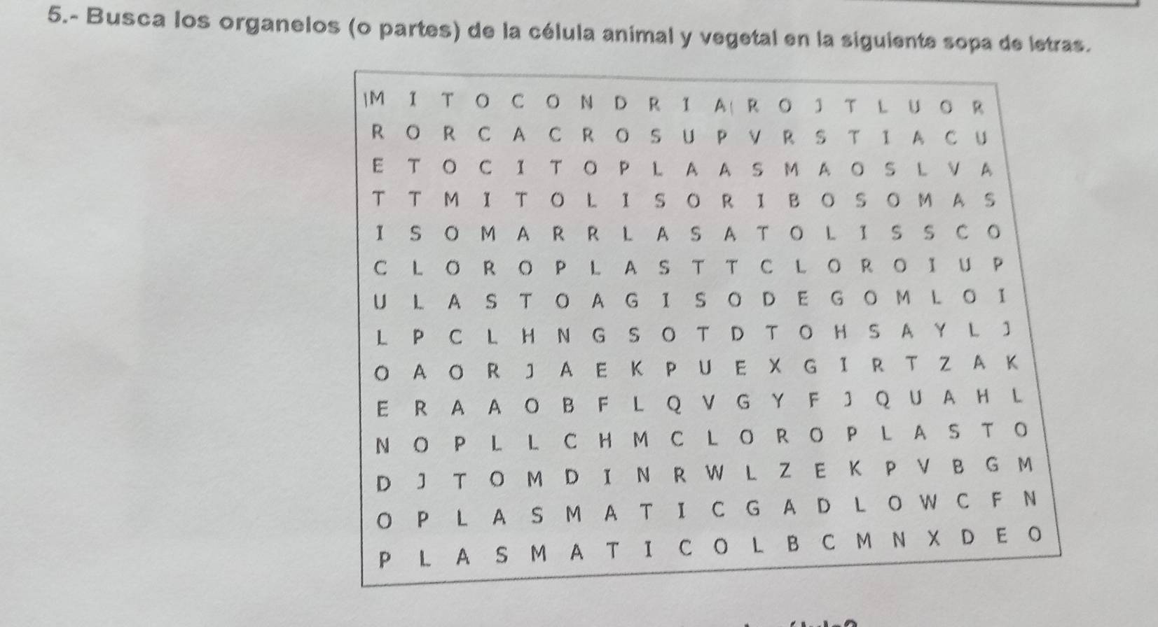 5.- Busca los organelos (o partes) de la célula animal y vegetal en la siguiente sopa de letras.