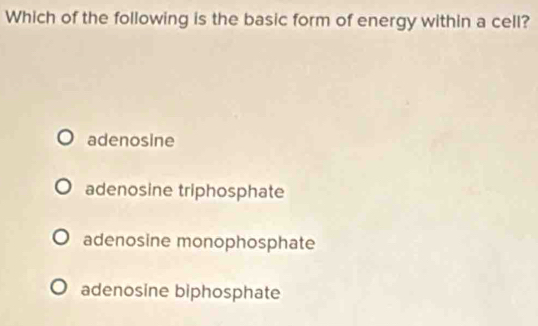 Which of the following is the basic form of energy within a cell?
adenosine
adenosine triphosphate
adenosine monophosphate
adenosine biphosphate