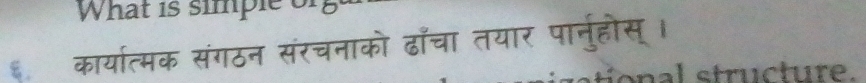 What is simple of 
६ कार्यात्मक संगठन संरचनाको ढाँचा तयार पानुहोस् । 
n al structure.