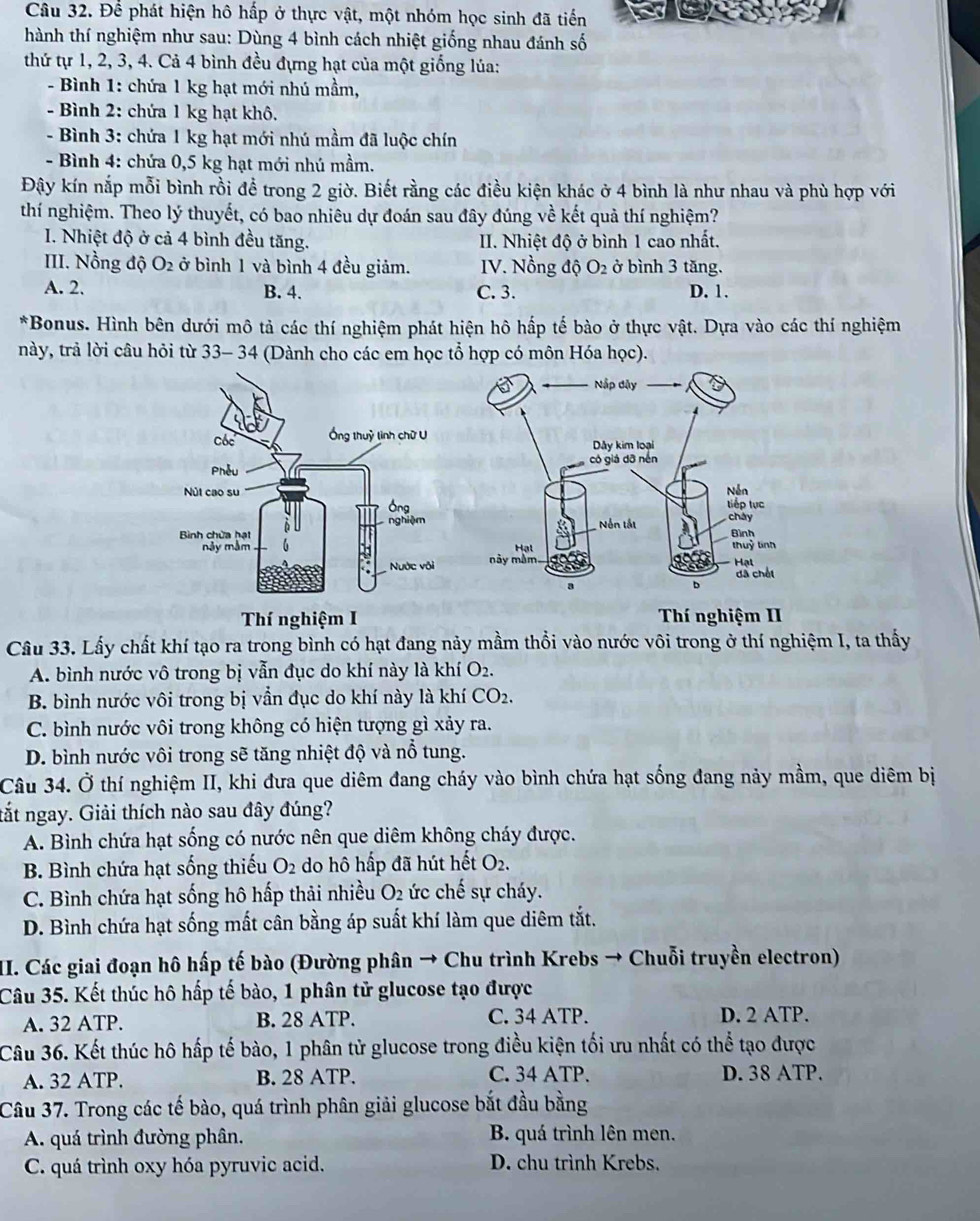 Để phát hiện hô hấp ở thực vật, một nhóm học sinh đã tiến
hành thí nghiệm như sau: Dùng 4 bình cách nhiệt giống nhau đánh số
thứ tự 1, 2, 3, 4. Cả 4 bình đều đựng hạt của một giống lúa:
- Bình 1: chứa 1 kg hạt mới nhú mầm,
- Bình 2: chứa 1 kg hạt khô.
- Bình 3: chứa 1 kg hạt mới nhú mầm đã luộc chín
- Bình 4: chứa 0,5 kg hạt mới nhú mầm.
Đậy kín nắp mỗi bình rồi đề trong 2 giờ. Biết rằng các điều kiện khác ở 4 bình là như nhau và phù hợp với
thí nghiệm. Theo lý thuyết, có bao nhiêu dự đoán sau đây đúng về kết quả thí nghiệm?
I. Nhiệt độ ở cả 4 bình đều tăng. II. Nhiệt độ ở bình 1 cao nhất.
III. Nồng độ O₂ ở bình 1 và bình 4 đều giảm.  V. ồng độ O_2 ở bình 3 tăng.
A. 2. B. 4. C. 3. D. 1.
*Bonus. Hình bên dưới mô tả các thí nghiệm phát hiện hô hấp tế bào ở thực vật. Dựa vào các thí nghiệm
này, trả lời câu hỏi từ 33- 34 (Dành cho các em học tổ hợp có môn Hóa học).
 
Thí nghiệm I Thí nghiệm II
Câu 33. Lấy chất khí tạo ra trong bình có hạt đang nảy mầm thổi vào nước vôi trong ở thí nghiệm I, ta thấy
A. bình nước vô trong bị vẫn đục do khí này là khí O_2.
B. bình nước vôi trong bị vần đục do khí này là khí CO_2.
C. bình nước vôi trong không có hiện tượng gì xảy ra.
D. bình nước vôi trong sẽ tăng nhiệt độ và nổ tung.
Câu 34. Ở thí nghiệm II, khi đưa que diêm đang cháy vào bình chứa hạt sống đang nảy mầm, que diêm bị
tắt ngay. Giải thích nào sau đây đúng?
A. Bình chứa hạt sống có nước nên que diêm không cháy được.
B. Bình chứa hạt sống thiếu O_2 do hô hấp đã hút hết O_2.
C. Bình chứa hạt sống hô hấp thải nhiều O_2 ức chế sự cháy.
D. Bình chứa hạt sống mất cân bằng áp suất khí làm que diêm tắt.
II. Các giai đoạn hô hấp tế bào (Đường phân → Chu trình Krebs → Chuỗi truyền electron)
Câu 35. Kết thúc hô hấp tế bào, 1 phân tử glucose tạo được
A. 32 ATP. B. 28 ATP. C. 34 ATP.
D. 2 ATP.
Câu 36. Kết thúc hô hấp tế bào, 1 phân tử glucose trong điều kiện tối ưu nhất có thể tạo được
A. 32 ATP. B. 28 ATP. C. 34 ATP. D. 38 ATP.
Câu 37. Trong các tế bào, quá trình phân giải glucose bắt đầu bằng
A. quá trình đường phân. B. quá trình lên men.
C. quá trình oxy hóa pyruvic acid. D. chu trình Krebs.