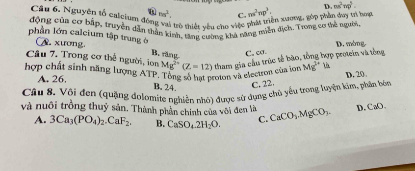 ns^2.
C. ns^2np^3. D. ns^2np^5. 
Câu 6. Nguyên tố calcium đón
I trò thiết yếu cho việc phát triển xương, góp phần duy trì hoạt
động của cơ bắp, truyền dẫn thần kinh, tăng cường khả năng miễn dịch. Trong cơ thể người
phần lớn calcium tập trung ở
A. xương. D. móng.
C. cơ.
Câu 7. Trong cơ thể người, ion Mg^(2+)(Z=12) tham gia cấu trúc tế bào, tổng hợp protein và tồng
B. răng.
hợp chất sinh năng lượng ATP. Tổng số hạt proton và electron của ion Mg^(2+) là
A. 26.
D. 20.
B. 24.
C. 22.
Câu 8. Vôi đen (quặng dolomite nghiền nhỏ) được sử dụng chủ yếu trong luyện kim, phân bón
và nuôi trồng thuỷ sản. Thành phần chính của vôi đen là CaCO_3. MgCO_3. D. CaO
A. 3Ca_3(PO_4)_2.CaF_2. B. CaSO_4.2H_2O. C.