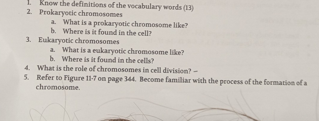 Know the definitions of the vocabulary words (13) 
2. Prokaryotic chromosomes 
a. What is a prokaryotic chromosome like? 
b. Where is it found in the cell? 
3. Eukaryotic chromosomes 
a. What is a eukaryotic chromosome like? 
b. Where is it found in the cells? 
4. What is the role of chromosomes in cell division? 
5. Refer to Figure 11-7 on page 344. Become familiar with the process of the formation of a 
chromosome.