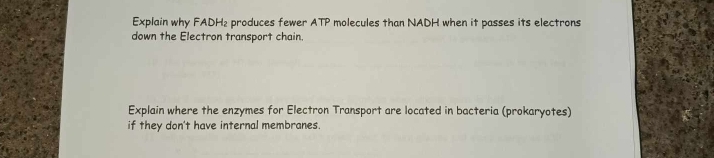 Explain why FADH₂ produces fewer ATP molecules than NADH when it passes its electrons 
down the Electron transport chain. 
Explain where the enzymes for Electron Transport are located in bacteria (prokaryotes) 
if they don't have internal membranes.