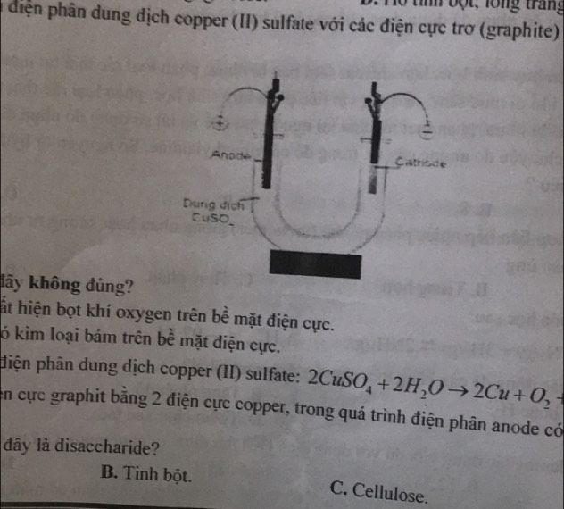 bột, lổng trang
diện phân dung địch copper (II) sulfate với các điện cực trơ (graphite)
đãy không đủng?
ất hiện bọt khí oxygen trên bể mặt điện cực.
ó kim loại bám trên bể mặt điện cực.
phiện phân dung dịch copper (II) sulfate: 2CuSO_4+2H_2Oto 2Cu+O_2
en cực graphit bằng 2 điện cực copper, trong quá trình điện phân anode có
đây là disaccharide?
B. Tinh bột.
C. Cellulose.