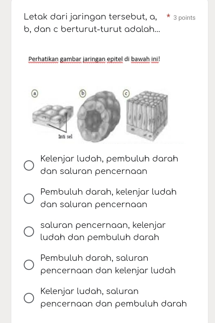 Letak dari jaringan tersebut, a, * 3 points
b, dan c berturut-turut adalah...
Perhatikan gambar jaringan epitel di bawah ini!
Kelenjar ludah, pembuluh darah
dan saluran pencernaan
Pembuluh darah, kelenjar ludah
dan saluran pencernaan
saluran pencernaan, kelenjar
ludah dan pembuluh darah
Pembuluh darah, saluran
pencernaan dan kelenjar ludah
Kelenjar ludah, saluran
pencernaan dan pembuluh darah