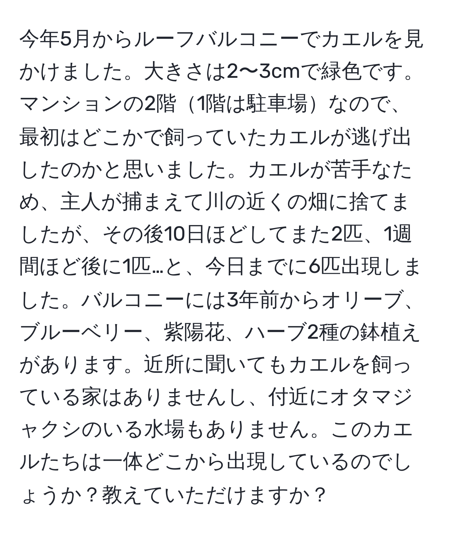 今年5月からルーフバルコニーでカエルを見かけました。大きさは2〜3cmで緑色です。マンションの2階1階は駐車場なので、最初はどこかで飼っていたカエルが逃げ出したのかと思いました。カエルが苦手なため、主人が捕まえて川の近くの畑に捨てましたが、その後10日ほどしてまた2匹、1週間ほど後に1匹…と、今日までに6匹出現しました。バルコニーには3年前からオリーブ、ブルーベリー、紫陽花、ハーブ2種の鉢植えがあります。近所に聞いてもカエルを飼っている家はありませんし、付近にオタマジャクシのいる水場もありません。このカエルたちは一体どこから出現しているのでしょうか？教えていただけますか？