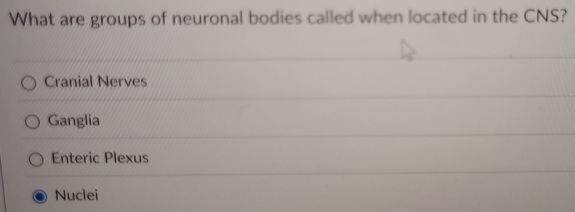 What are groups of neuronal bodies called when located in the CNS?
Cranial Nerves
Ganglia
Enteric Plexus
Nuclei