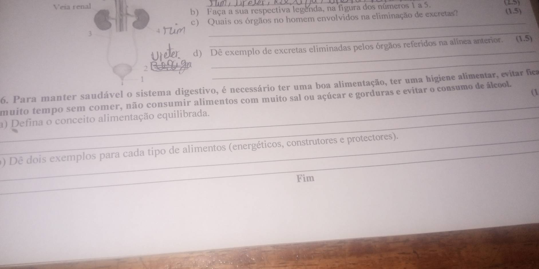 Veía renal 
_ 
b) Faça a sua respectiva legenda, na figura dos números 1 a 5.
(2.5)
c) Quais os órgãos no homem envolvidos na eliminação de excretas? (1.5)
3 
_ 
_ 
d) Dê exemplo de excretas eliminadas pelos órgãos referidos na alínea anterior. (1.5)
2 
_ 
1 
_ 
6. Para manter saudável o sistema digestivo, é necessário ter uma boa alimentação, ter uma higiene alimentar, evitar fica 
(1 
_ 
muito tempo sem comer, não consumir alimentos com muito sal ou açúcar e gorduras e evitar o consumo de álcool. 
_a) Defina o conceito alimentação equilibrada. 
__0) Dê dois exemplos para cada tipo de alimentos (energéticos, construtores e protectores). 
Fim