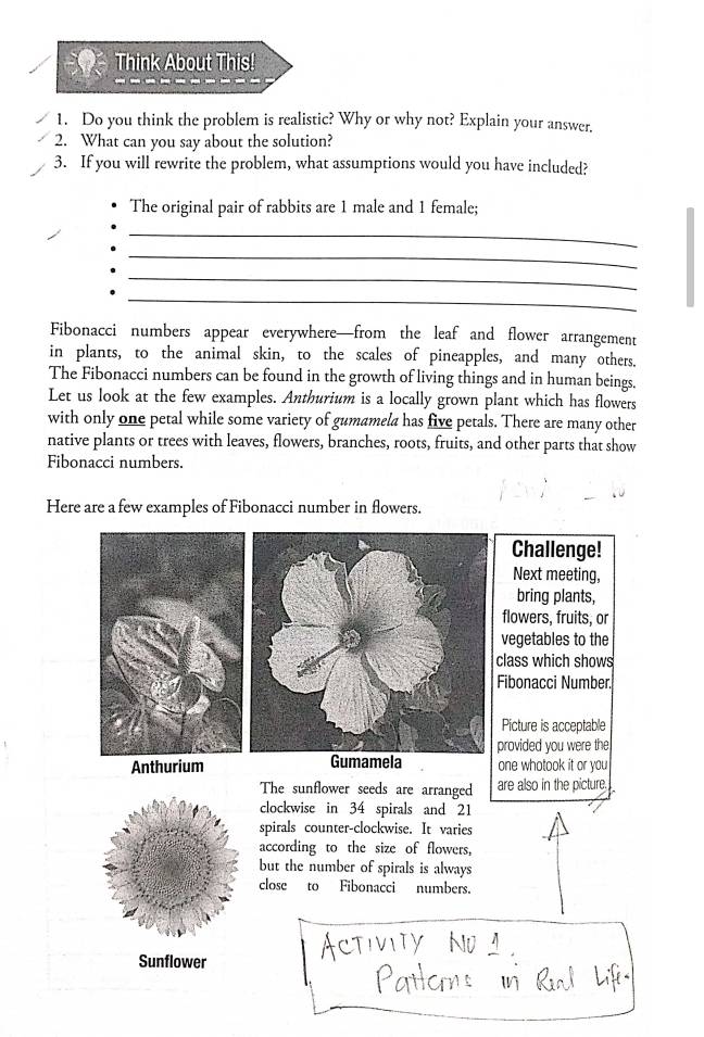 Think About This! 
1. Do you think the problem is realistic? Why or why not? Explain your answer. 
2. What can you say about the solution? 
3. If you will rewrite the problem, what assumptions would you have included? 
The original pair of rabbits are 1 male and 1 female; 
_ 
_ 
_ 
_ 
Fibonacci numbers appear everywhere—from the leaf and flower arrangement 
in plants, to the animal skin, to the scales of pineapples, and many others. 
The Fibonacci numbers can be found in the growth of living things and in human beings. 
Let us look at the few examples. Anthurium is a locally grown plant which has flowers 
with only one petal while some variety of gumamela has five petals. There are many other 
native plants or trees with leaves, flowers, branches, roots, fruits, and other parts that show 
Fibonacci numbers. 
Here are a few examples of Fibonacci number in flowers. 
Challenge! 
Next meeting, 
bring plants, 
flowers, fruits, or 
vegetables to the 
class which shows 
Fibonacci Number. 
Picture is acceptable 
provided you were the 
Anthurium Gumamela one whotook it or you 
The sunflower seeds are arranged are also in the picture. 
clockwise in 34 spirals and 21
spirals counter-clockwise. It varies 
according to the size of flowers, 
but the number of spirals is always 
close to Fibonacci numbers. 
Sunflower